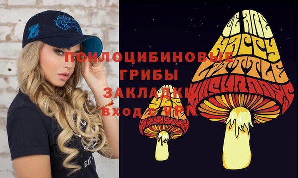 крисы Краснослободск