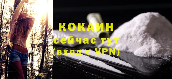 крисы Краснослободск