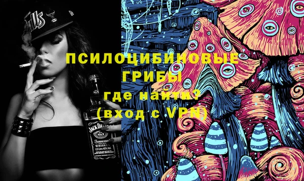 крисы Краснослободск