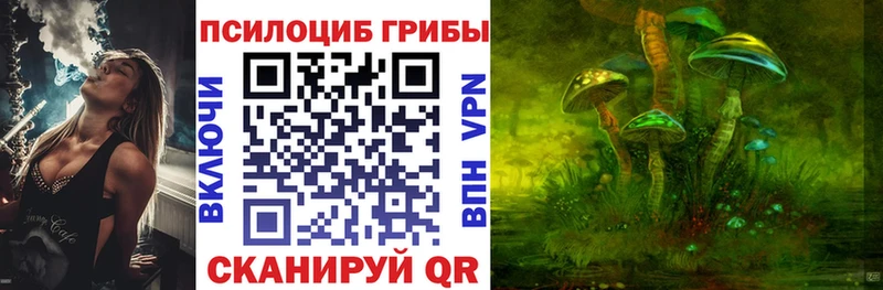 Псилоцибиновые грибы Psilocybe  Пикалёво 